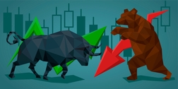 bull vs bear market