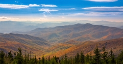Tennessee landscape featuring view of the Smoky Mountains with pine trees in foreground