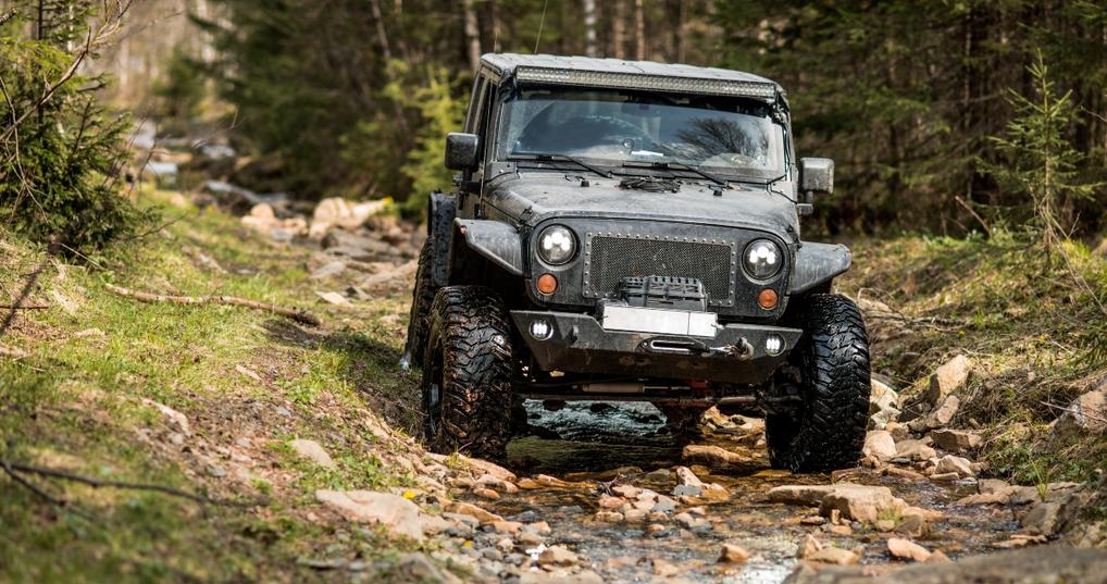 Jeep Wrangler in the woods