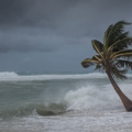 hurricane Delta tearing up the coastline of Grand Cayman