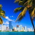 miami skyline seen from the beach with palm trees in daylight.