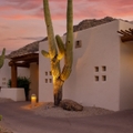 arizona resort under orange sky with cute cactus plant at sunset