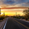 Arizona Desert Sunset Road
