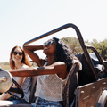 Two women in a convertible SUV drive down a road on a bright, sunny day.