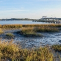 South Carolina landscape showing bridge with camper driving on it and marshy coast