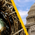 nest egg and capitol building