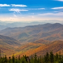 Tennessee landscape featuring view of the Smoky Mountains with pine trees in foreground