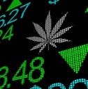How to Invest in Marijuana