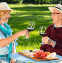 Happy senior couple having a picnic