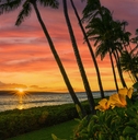sunset in Hawaii with yellow flowers