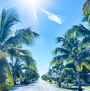 way to the beach with palm trees in key west florida