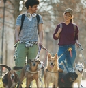 couple working as pet sitters