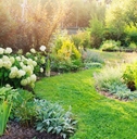 private garden with green plants everywhere along with english style cottage in corner