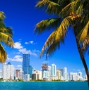 miami skyline seen from the beach with palm trees in daylight.
