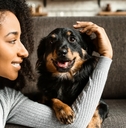  beautiful african women sitting with her dog in lounge at home. 