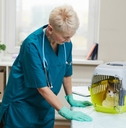 mature woman in uniform working as a veterinarian in clinic