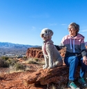 enjoying a scenic overlook