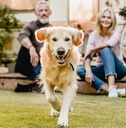 running dog with happy couple