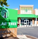 dollar tree store