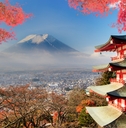 mount fuji at fall in japan