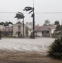 las olas blvd in hurricane irma