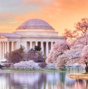 Jefferson Memorial during Cherry Blossom Festival