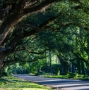third avenue oaks albany georgia