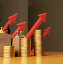 Rising cost of groceries 