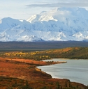 denali mountain and wonder lake