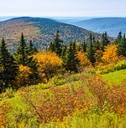 mount greylock in massachusetts