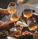 friends having wine tasting 