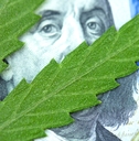 Concept of income from marijuana