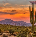 sonoran sunset