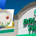 things you&#x27;d never believe are from dollar tree front slide
