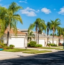 community houses with palms and asphalt road