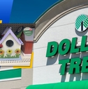 14 dollar tree finds thatll kickstart your garden