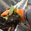 Cleaning out gutter