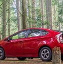 red prius in forest