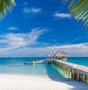  tropical beach