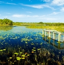 florida nature preserve