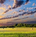 Hay Bales at Sunrise