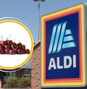 aldi items