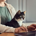 woman sitting with a cat on her lap