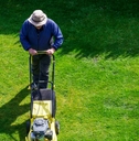 Man tending his garden by cutting the grass
