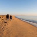 People walking on the beach during golden sunset