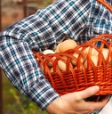 whole basket of brown organic eggs