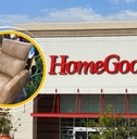 homegoods items that are identical to crate barrels featured image