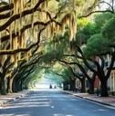 quaint savannah street