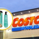 costco buys shoppers are obssessing over featured image