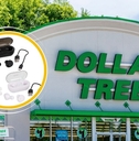 dollar tree finds that beat walmarts prices featured image